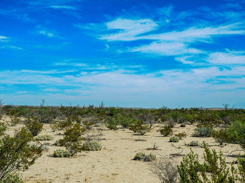 91 Black Hill Rd, Terlingua, Texas image 9