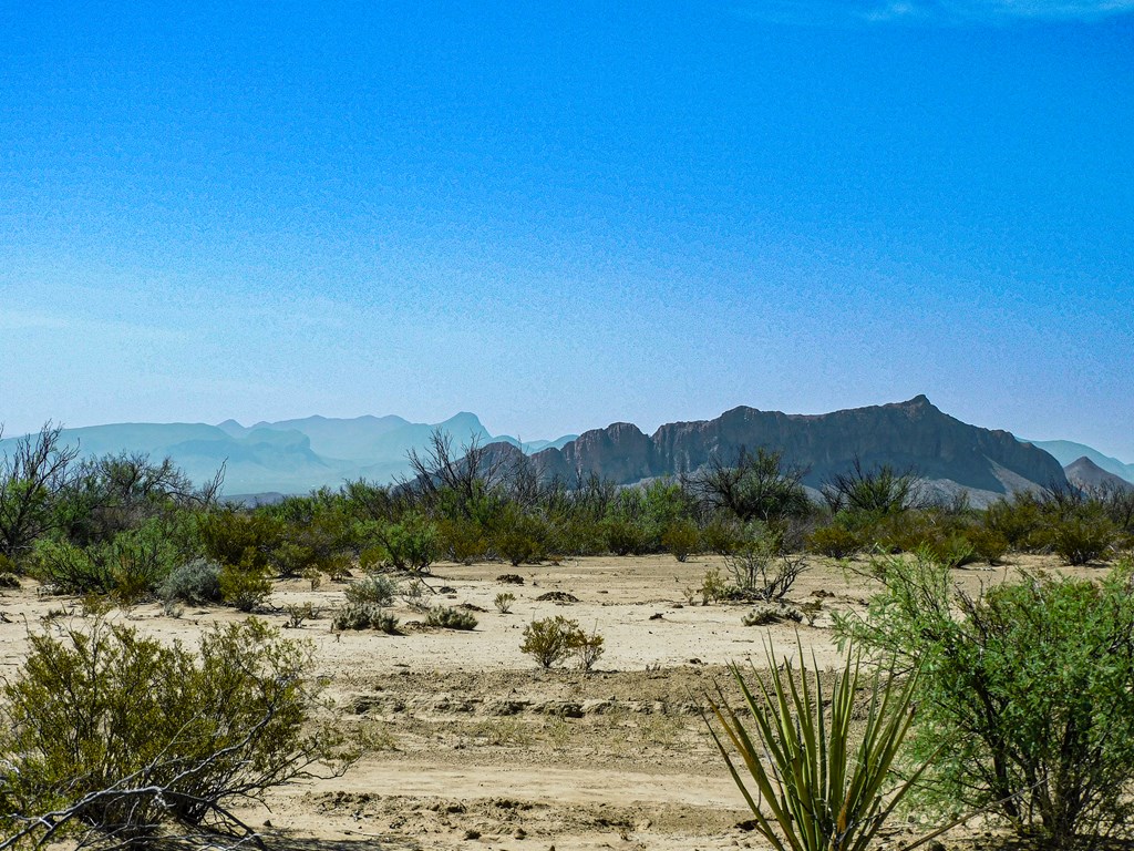 91 Black Hill Rd, Terlingua, Texas image 5