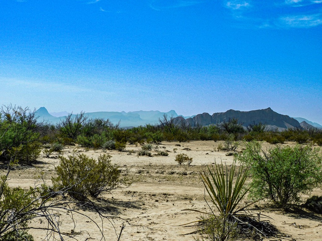 91 Black Hill Rd, Terlingua, Texas image 15