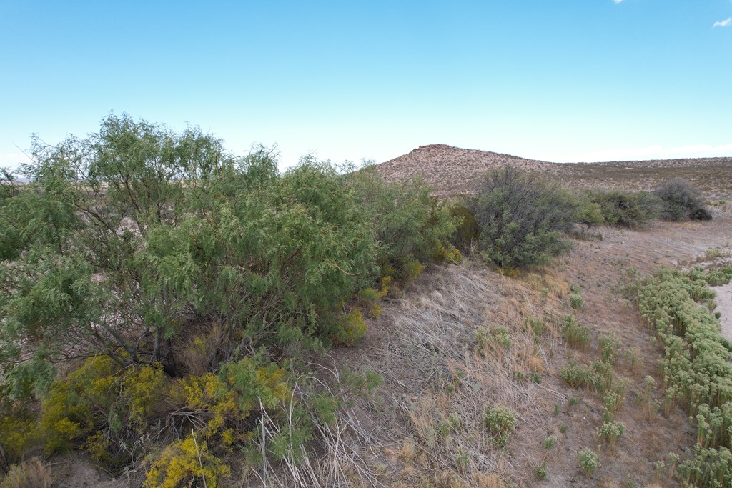 17 Hummingbird Run, Sierra Blanca, Texas image 8