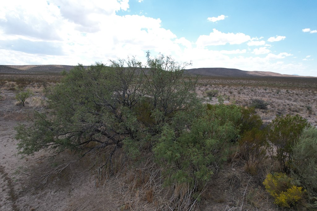 17 Hummingbird Run, Sierra Blanca, Texas image 7