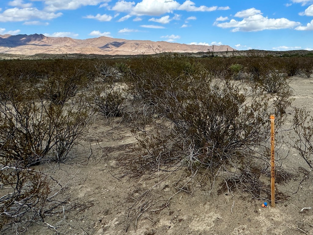 TR 8282 Rocking L Ranch Rd, Terlingua, Texas image 17