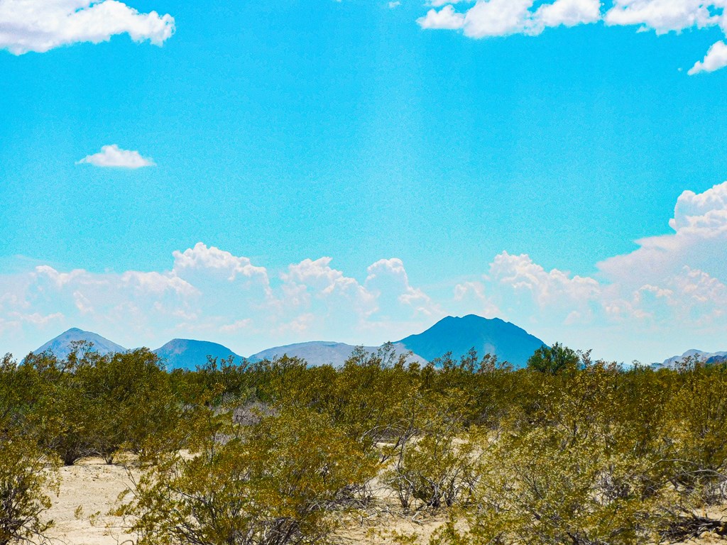 3700 Este Rd, Terlingua, Texas image 9