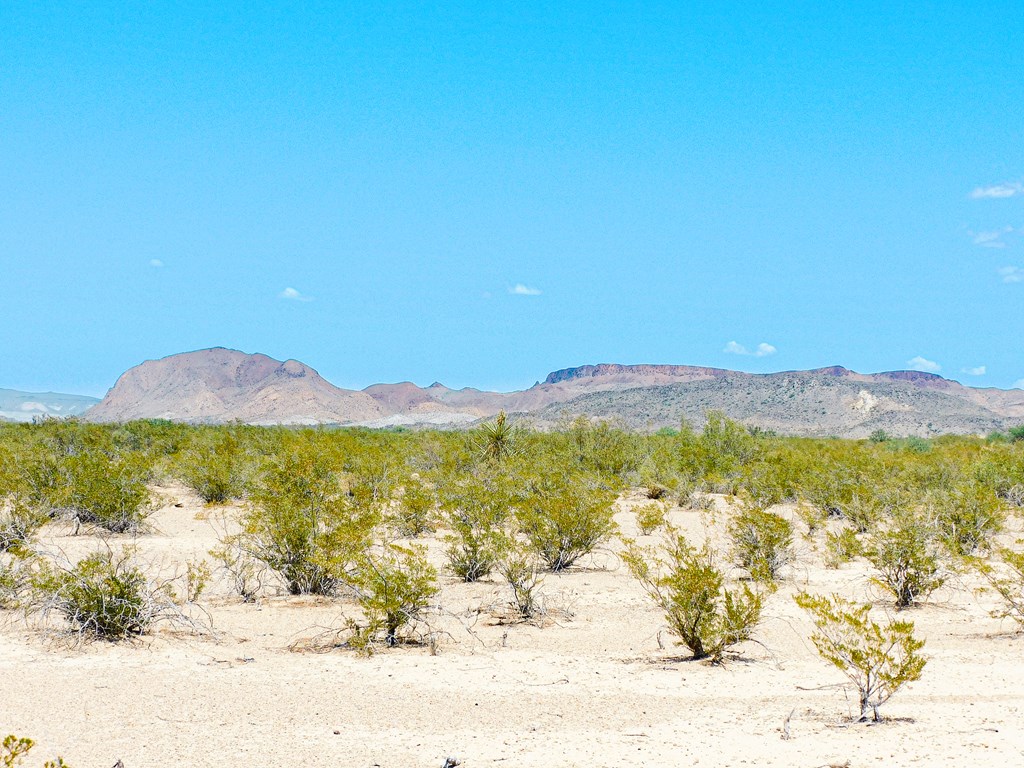 3700 Este Rd, Terlingua, Texas image 16