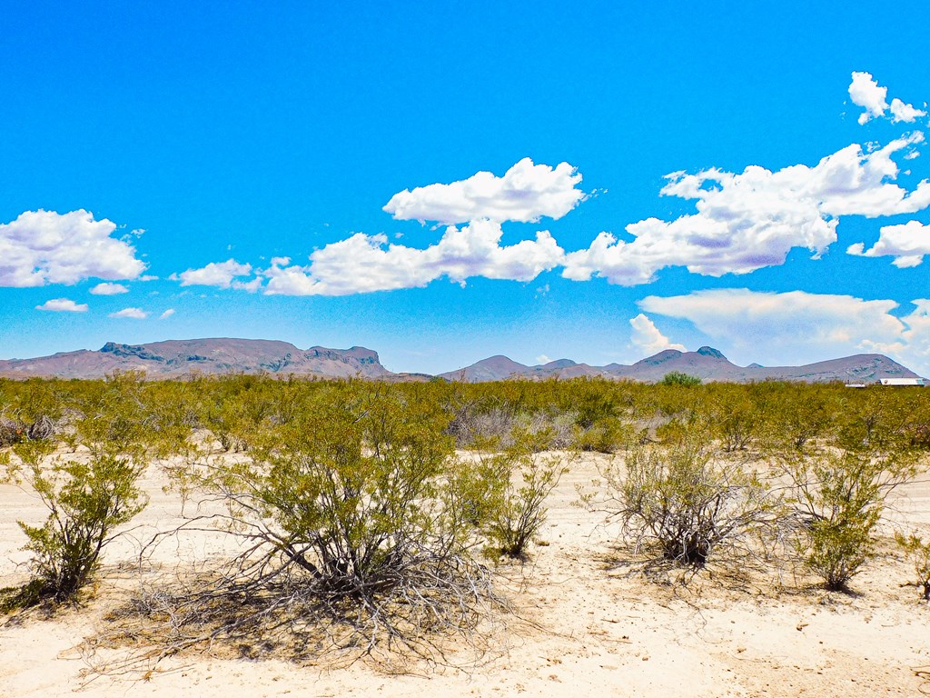 3700 Este Rd, Terlingua, Texas image 11