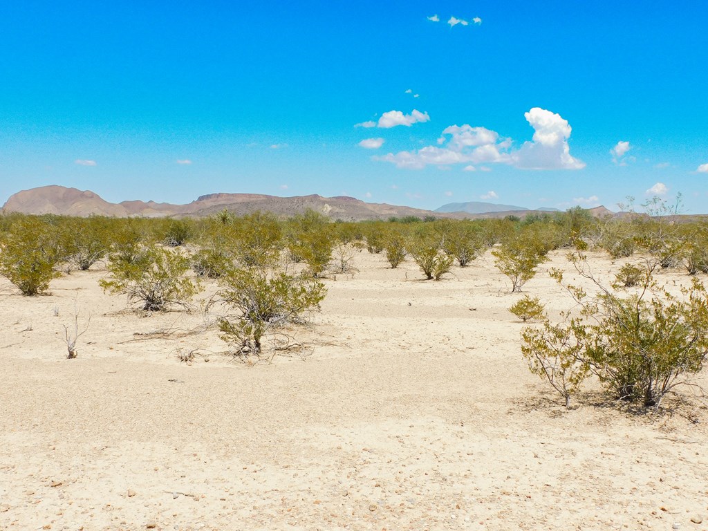 3700 Este Rd, Terlingua, Texas image 24