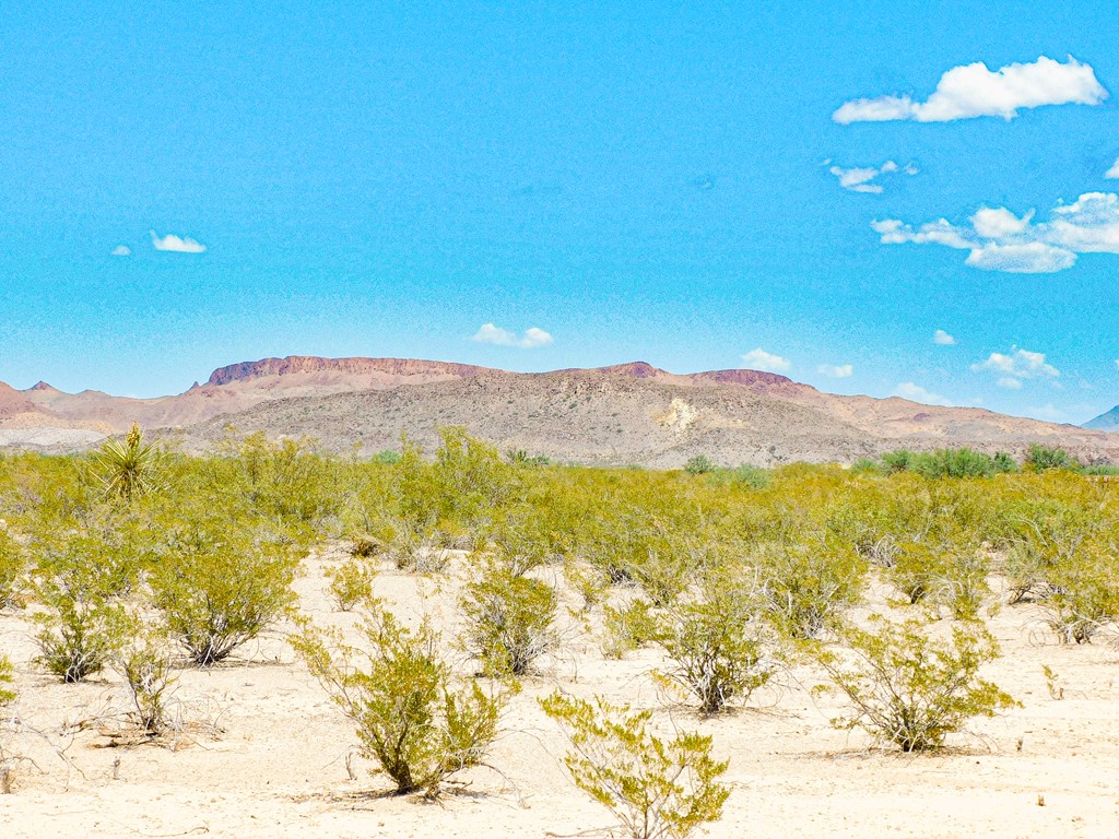 3700 Este Rd, Terlingua, Texas image 15