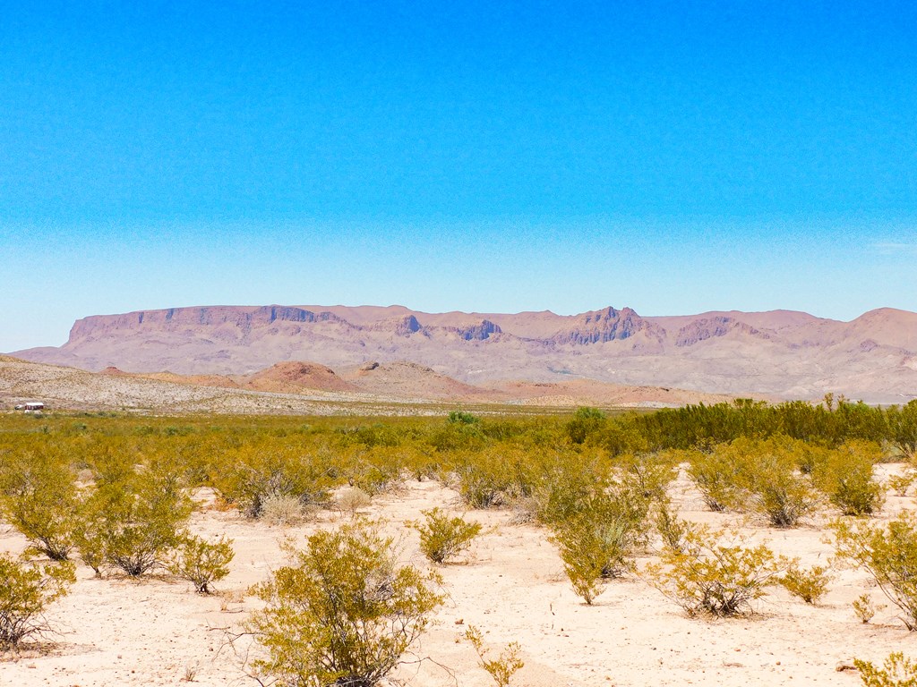 3700 Este Rd, Terlingua, Texas image 20