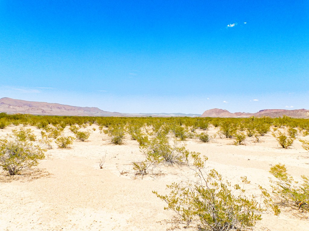 3700 Este Rd, Terlingua, Texas image 17