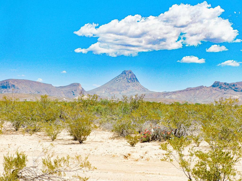 3700 Este Rd, Terlingua, Texas image 2