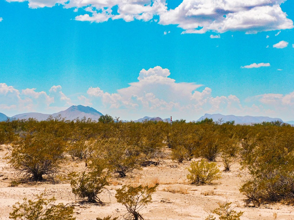 3700 Este Rd, Terlingua, Texas image 18