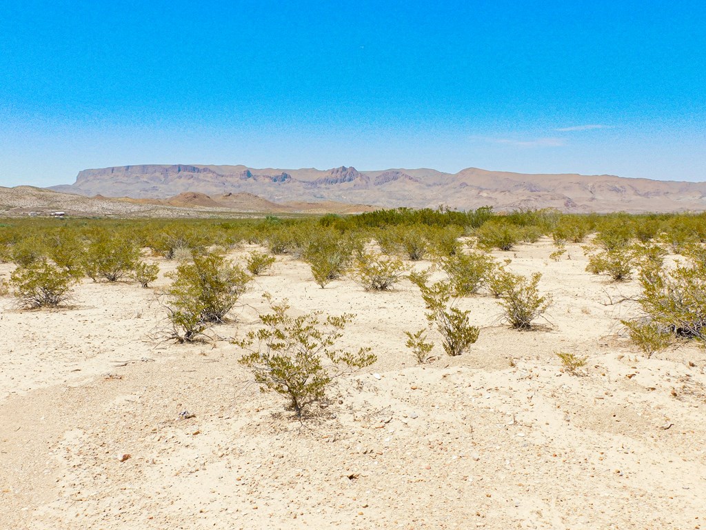 3700 Este Rd, Terlingua, Texas image 23