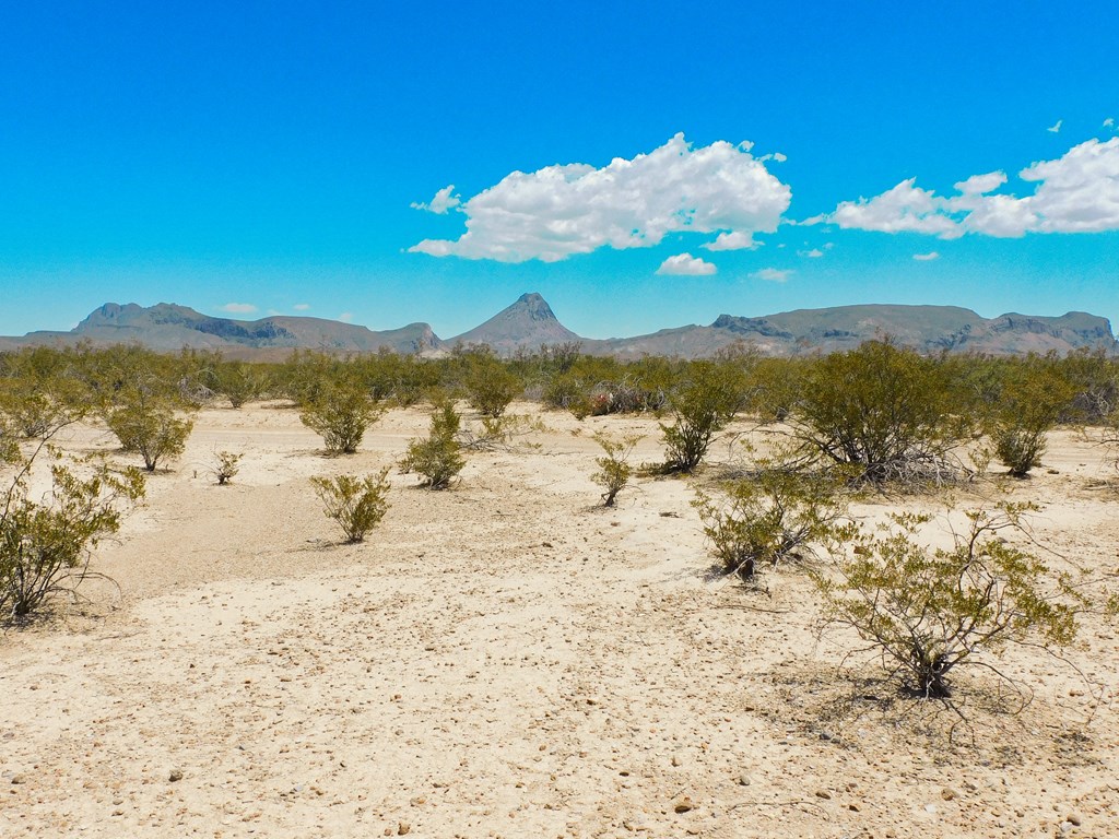 3700 Este Rd, Terlingua, Texas image 25