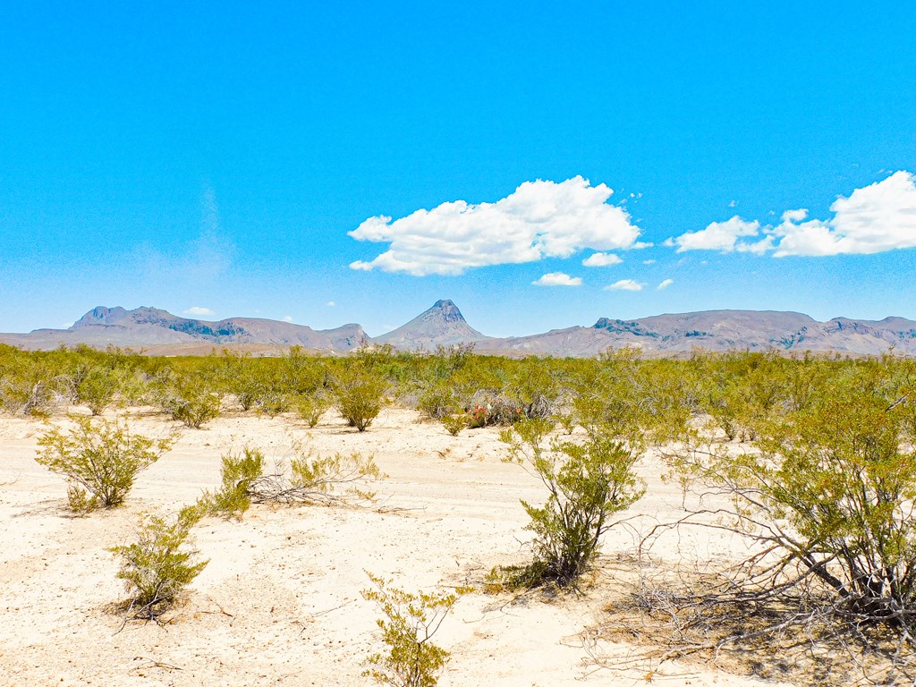 3700 Este Rd, Terlingua, Texas image 12