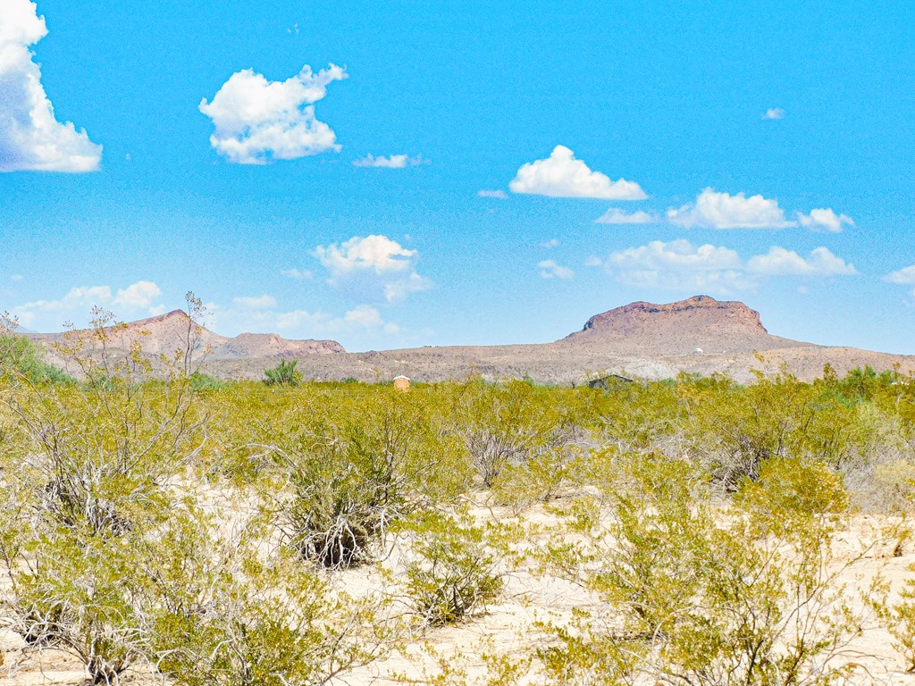 3700 Este Rd, Terlingua, Texas image 14