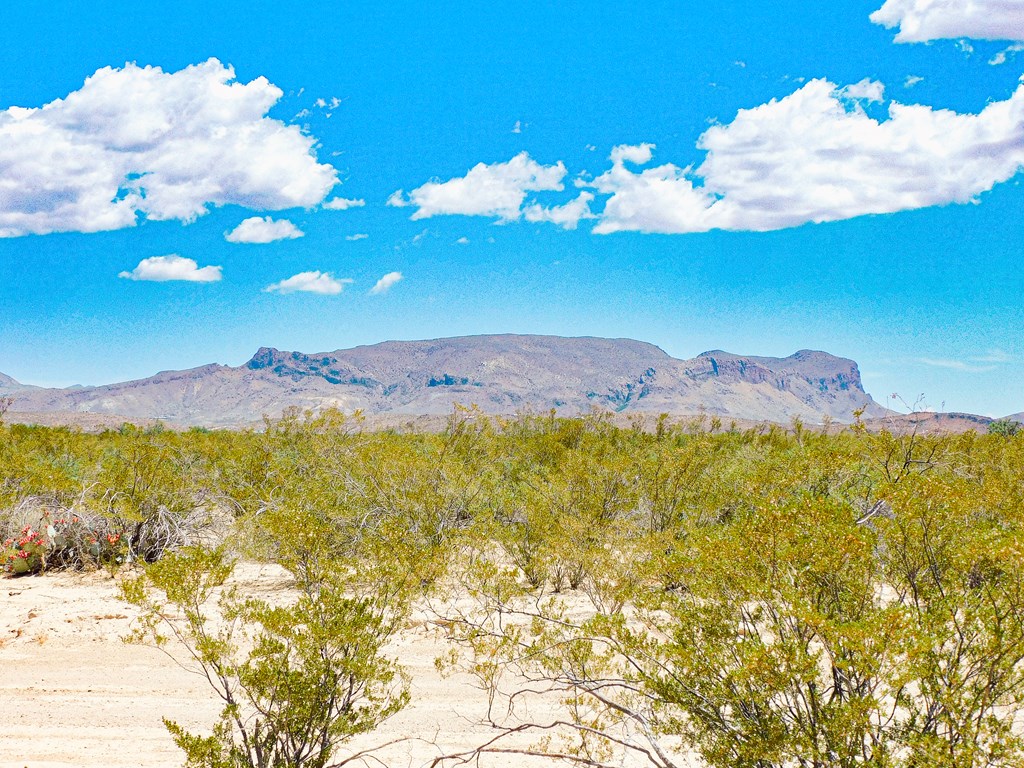 3700 Este Rd, Terlingua, Texas image 5