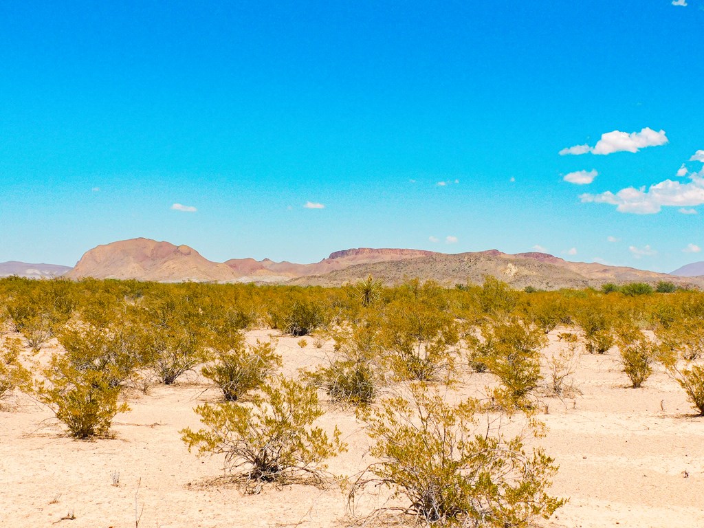 3700 Este Rd, Terlingua, Texas image 21