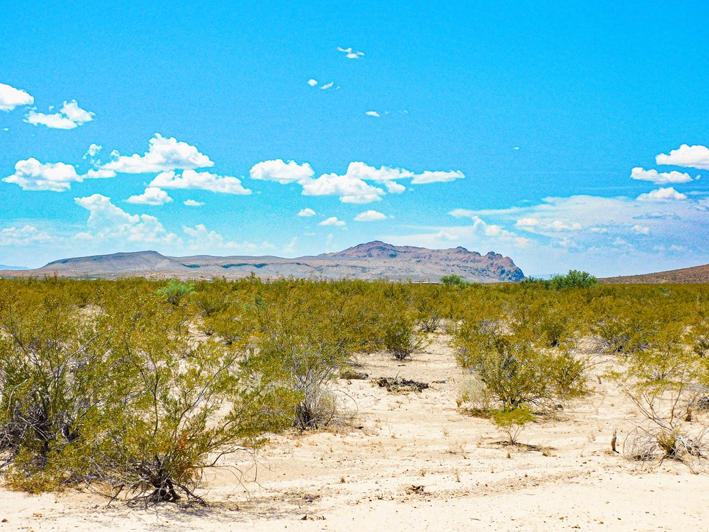 3700 Este Rd, Terlingua, Texas image 7