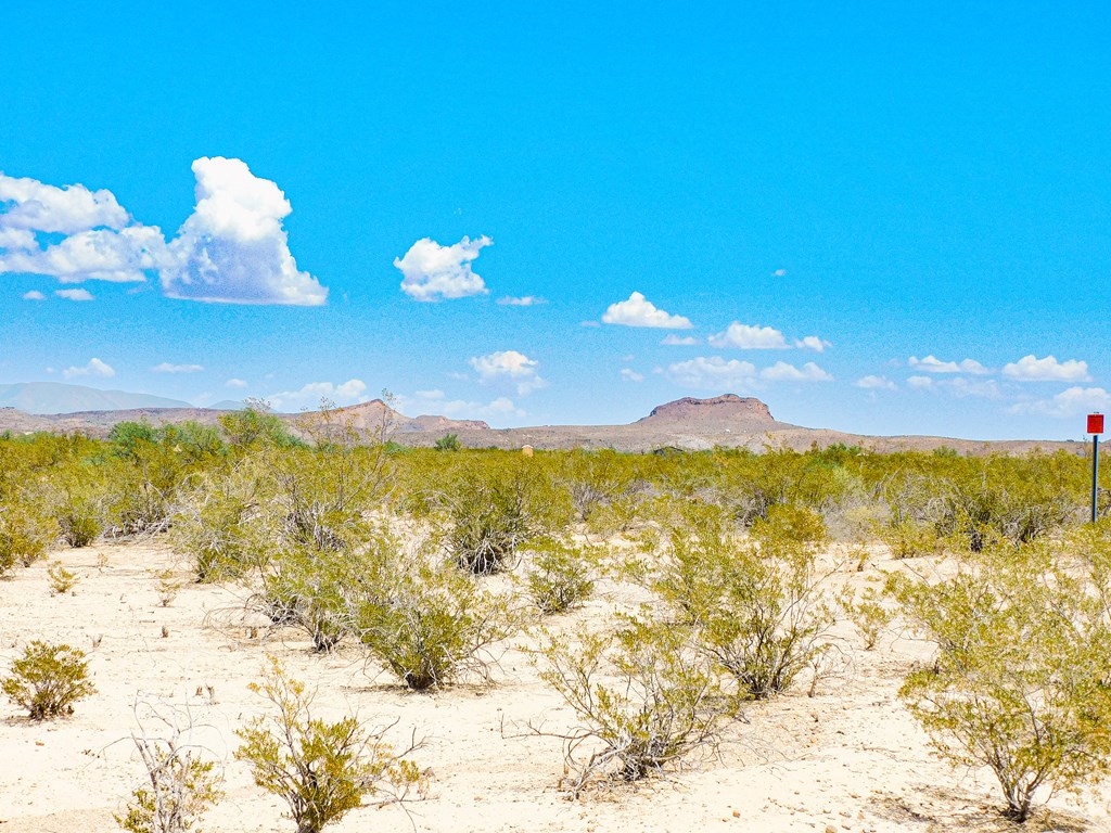 3700 Este Rd, Terlingua, Texas image 13