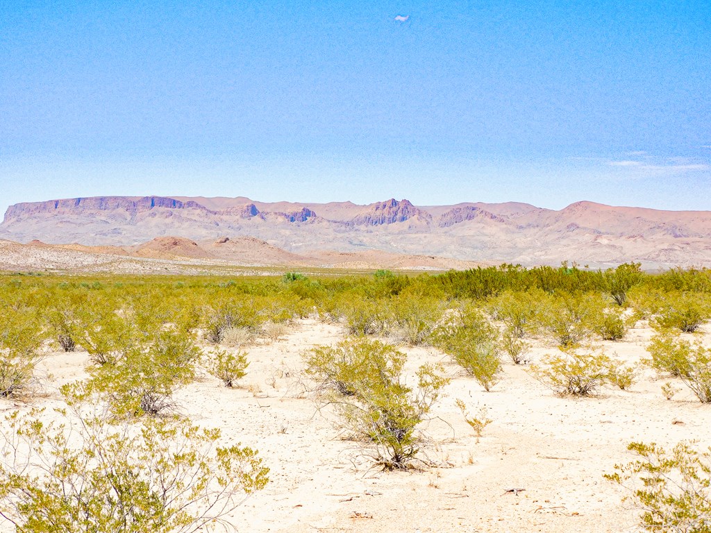 3700 Este Rd, Terlingua, Texas image 6