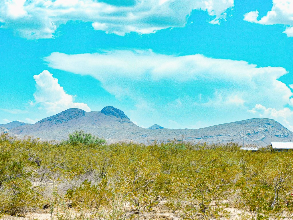 3700 Este Rd, Terlingua, Texas image 10