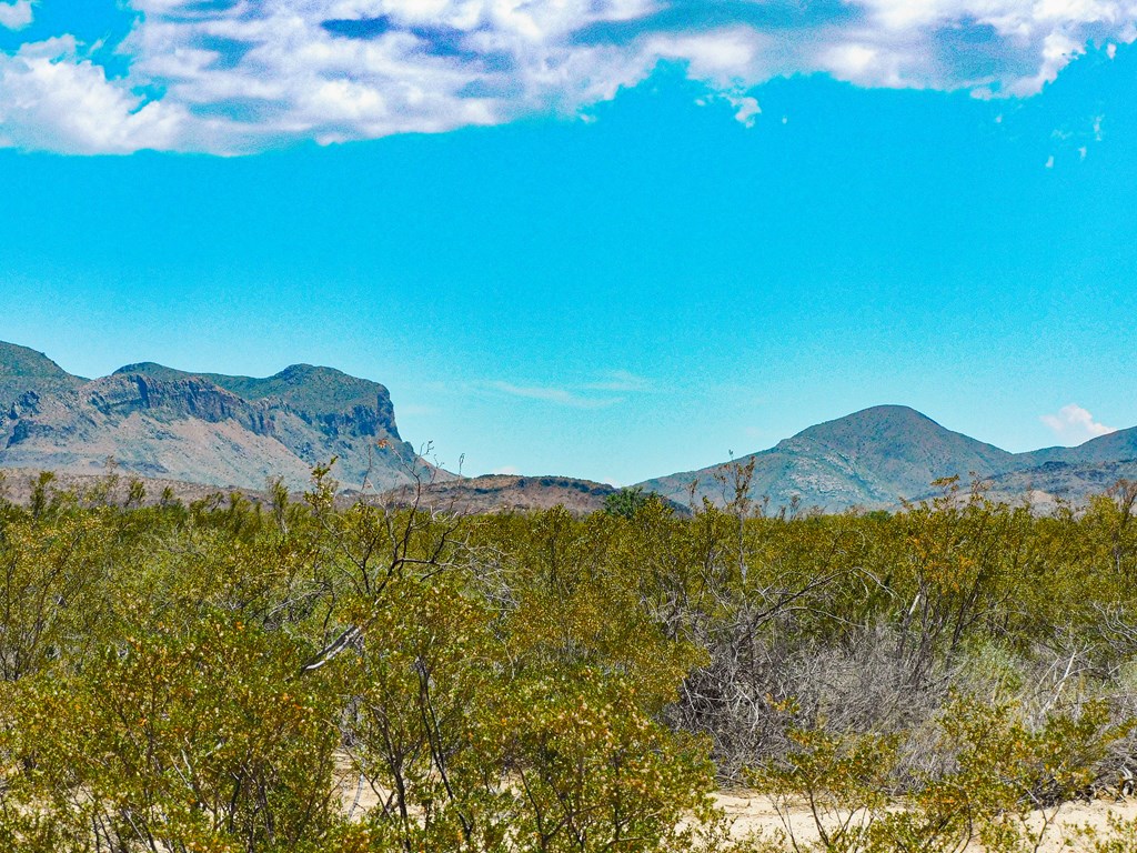 3700 Este Rd, Terlingua, Texas image 3