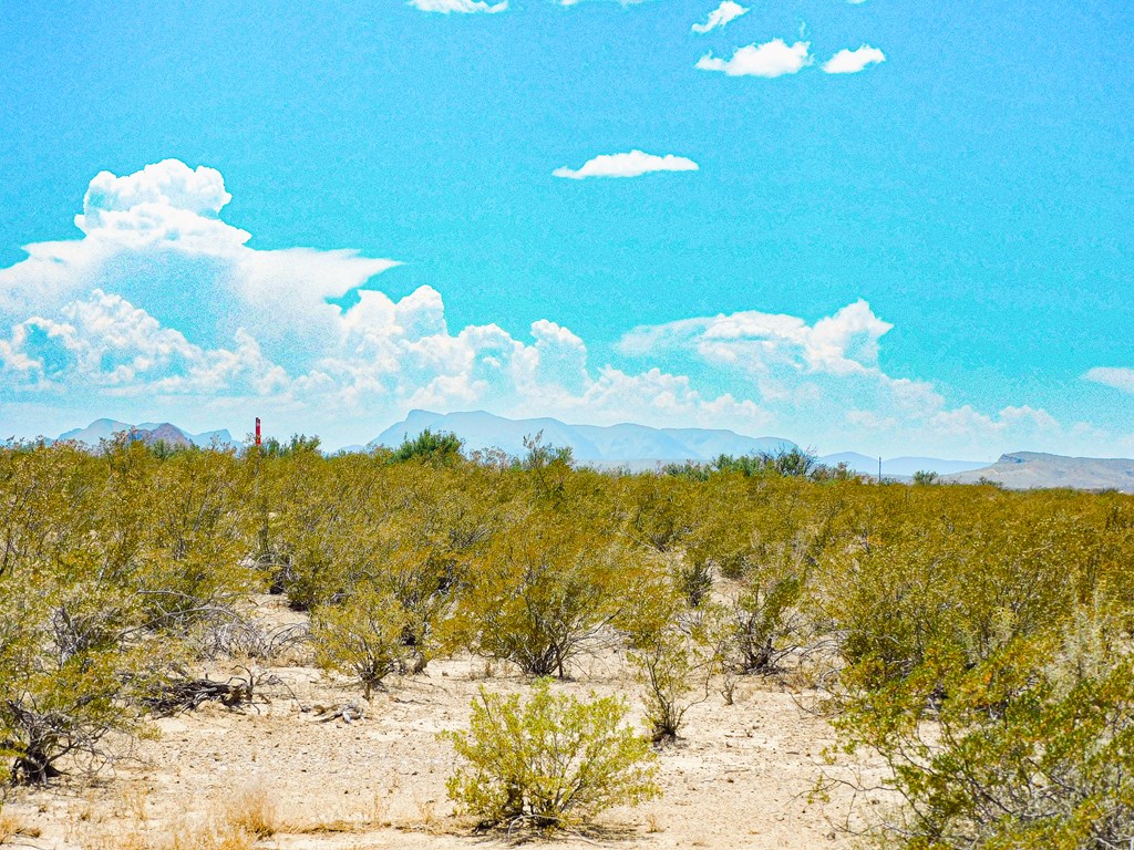 3700 Este Rd, Terlingua, Texas image 8