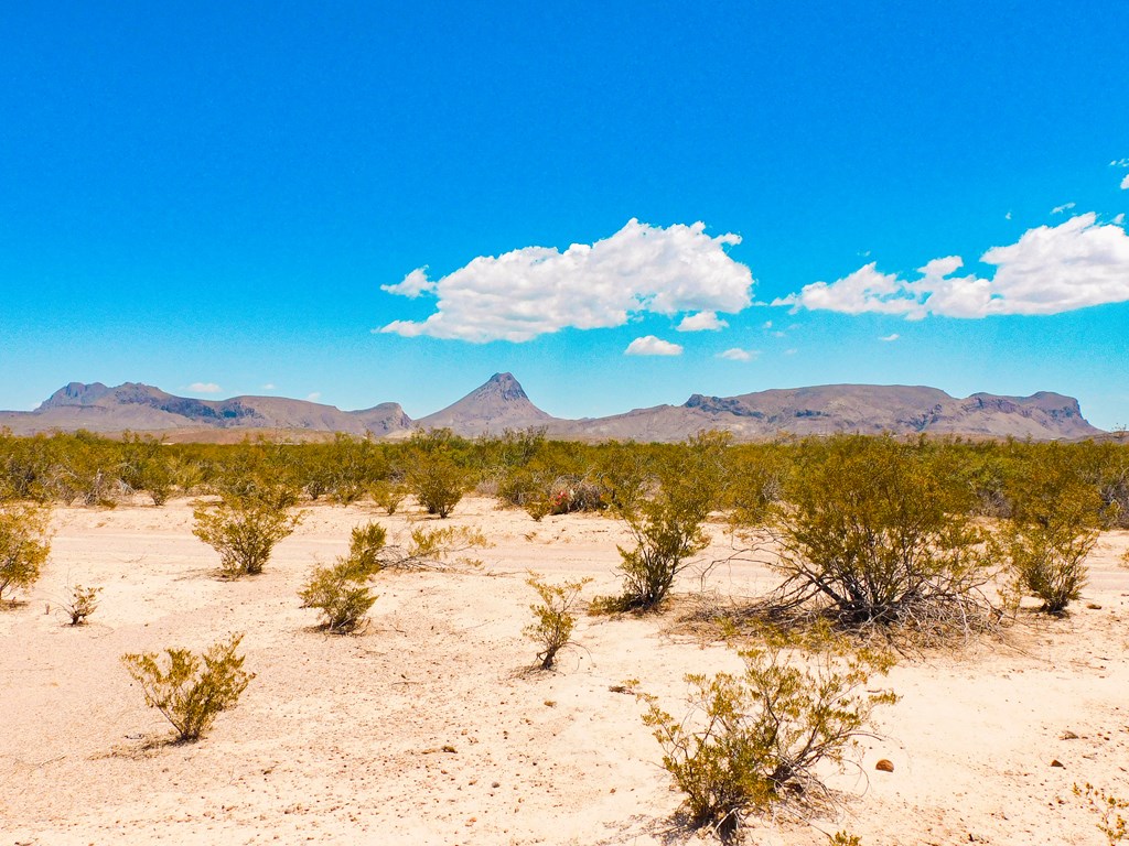 3700 Este Rd, Terlingua, Texas image 4