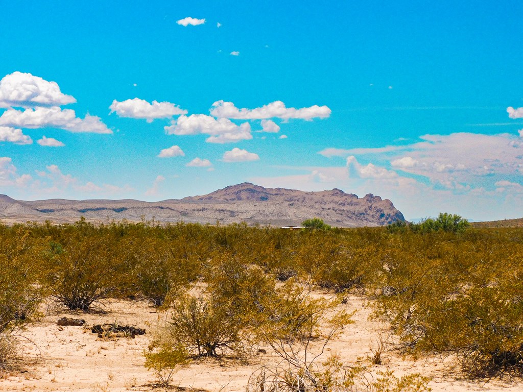 3700 Este Rd, Terlingua, Texas image 19