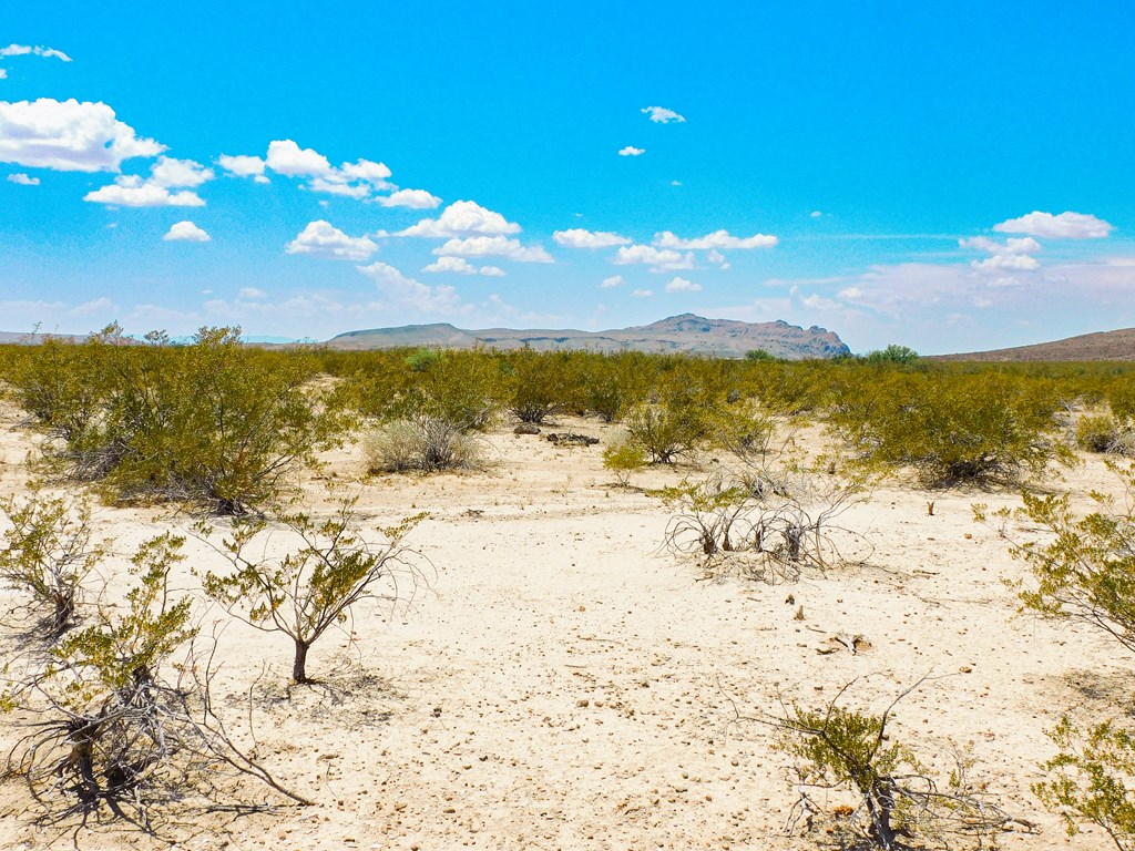 3700 Este Rd, Terlingua, Texas image 22