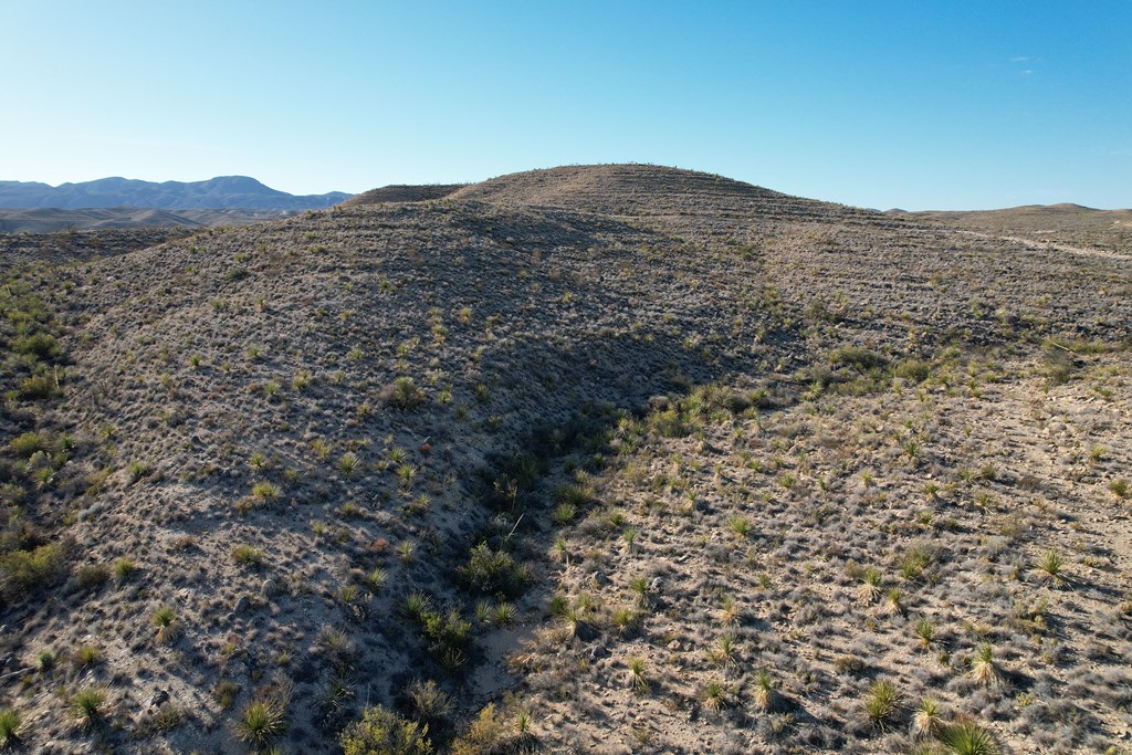 5 Predator West, Terlingua, Texas image 10