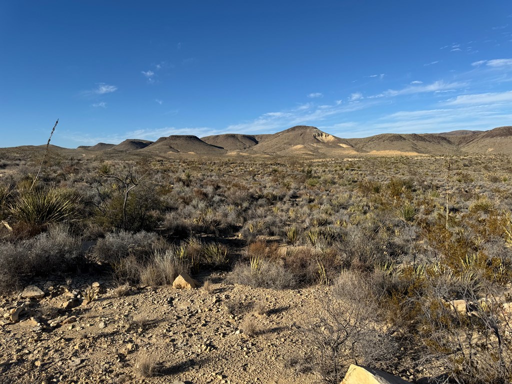 5 Predator West, Terlingua, Texas image 3