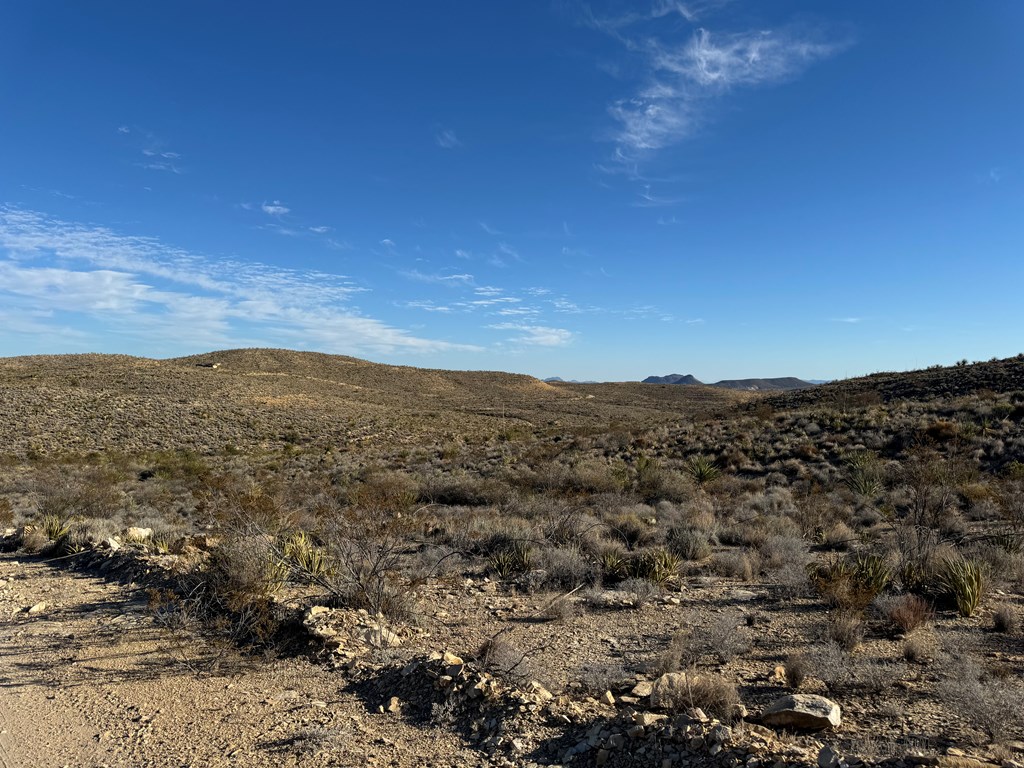 5 Predator West, Terlingua, Texas image 4