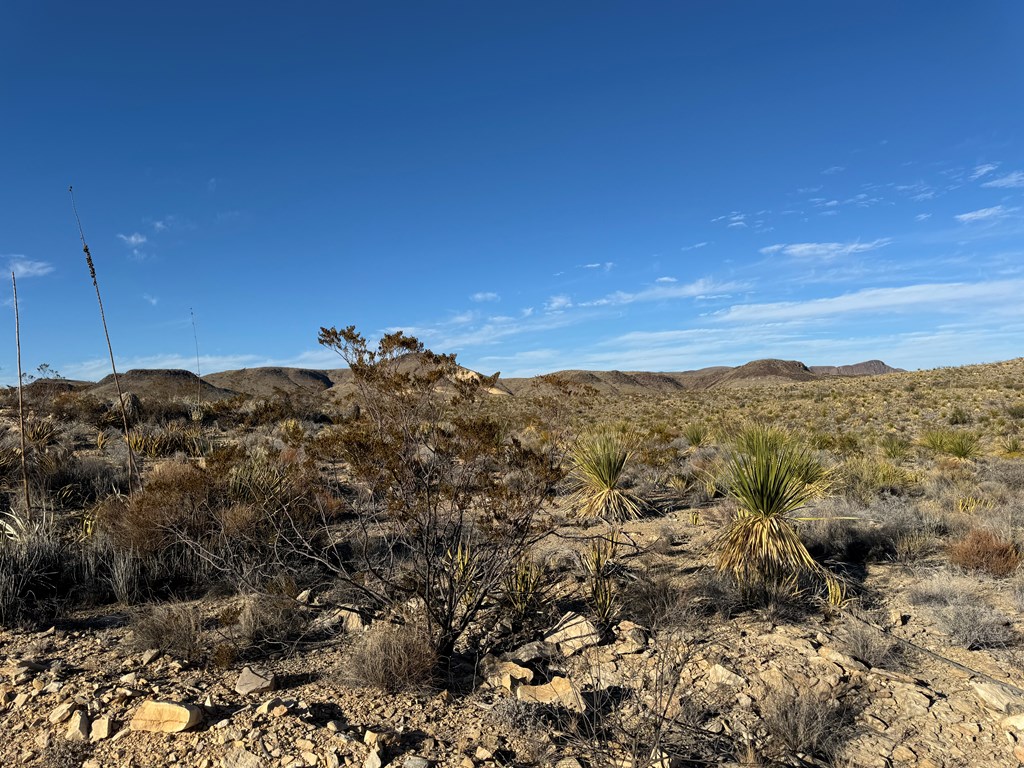 5 Predator West, Terlingua, Texas image 7