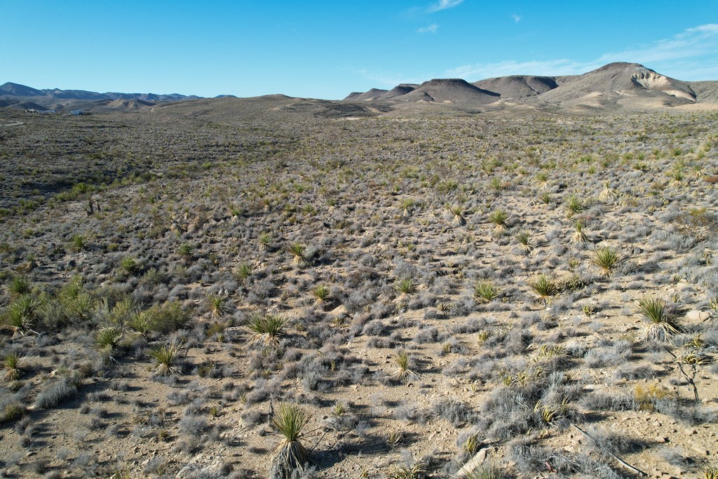 5 Predator West, Terlingua, Texas image 9