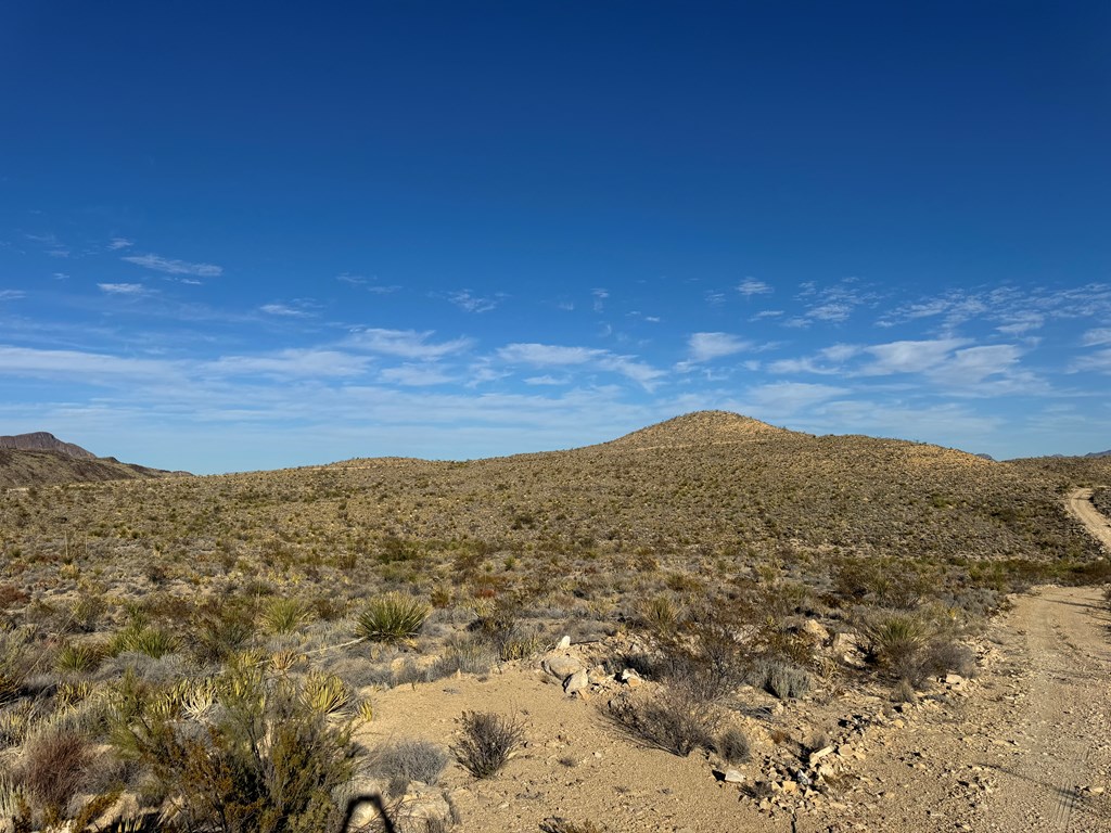 5 Predator West, Terlingua, Texas image 5