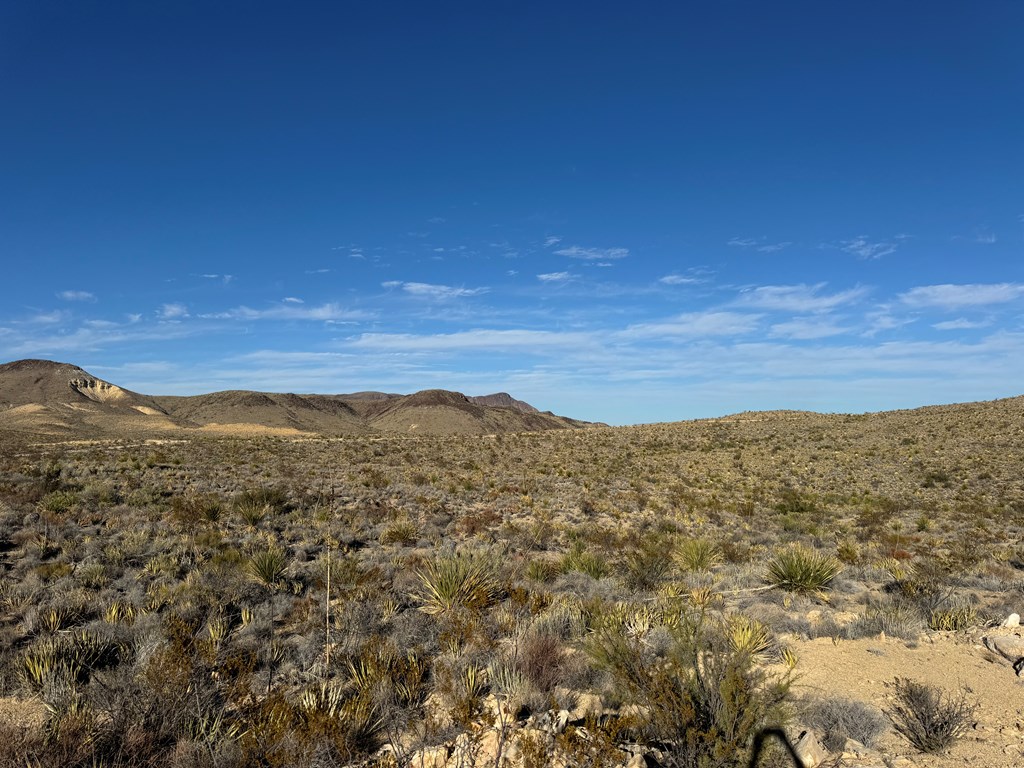 5 Predator West, Terlingua, Texas image 6