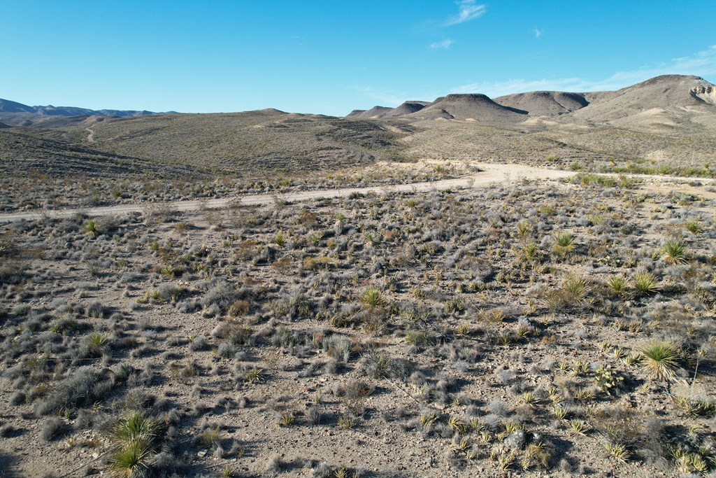 5 Predator West, Terlingua, Texas image 11