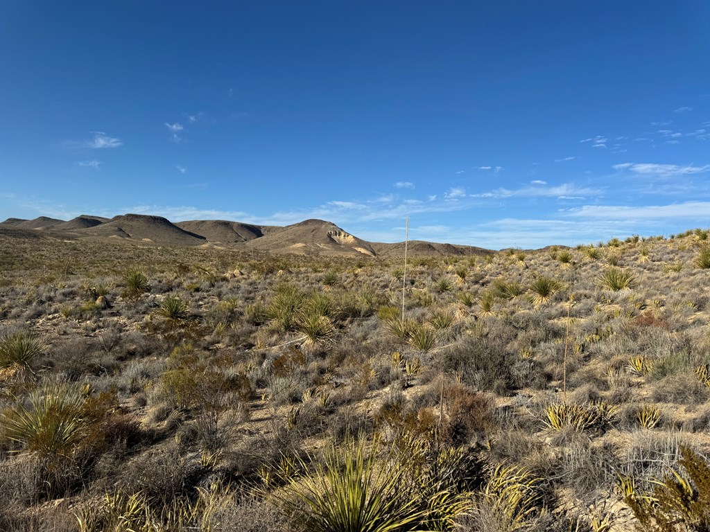 5 Predator West, Terlingua, Texas image 8