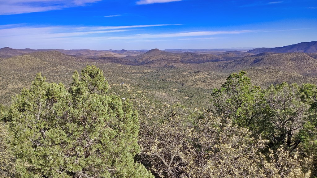 304 Low Meadow Trail, Fort Davis, Texas image 17