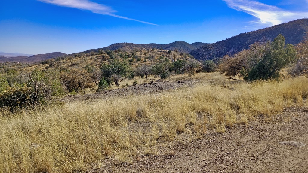 304 Low Meadow Trail, Fort Davis, Texas image 5