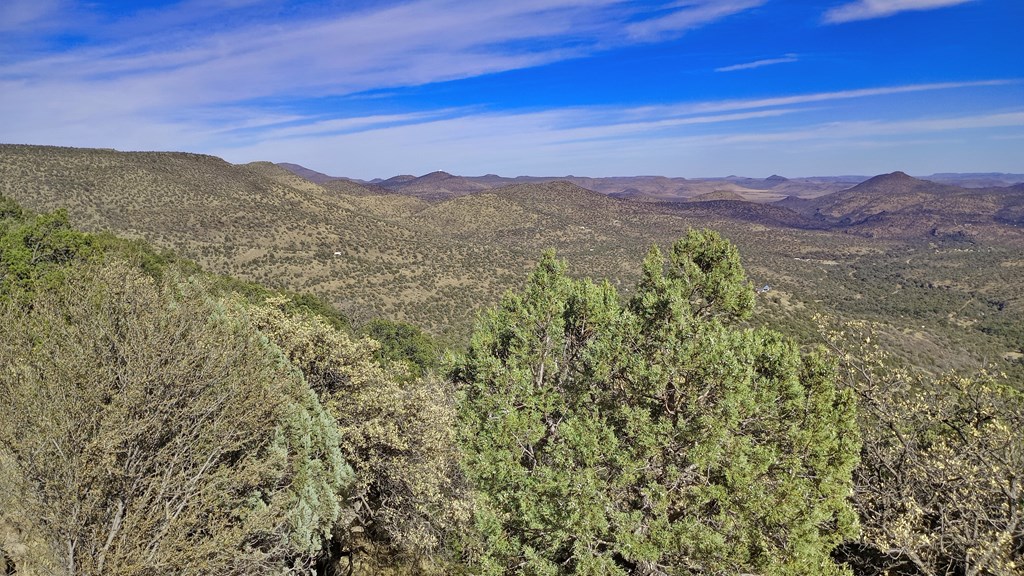 304 Low Meadow Trail, Fort Davis, Texas image 16