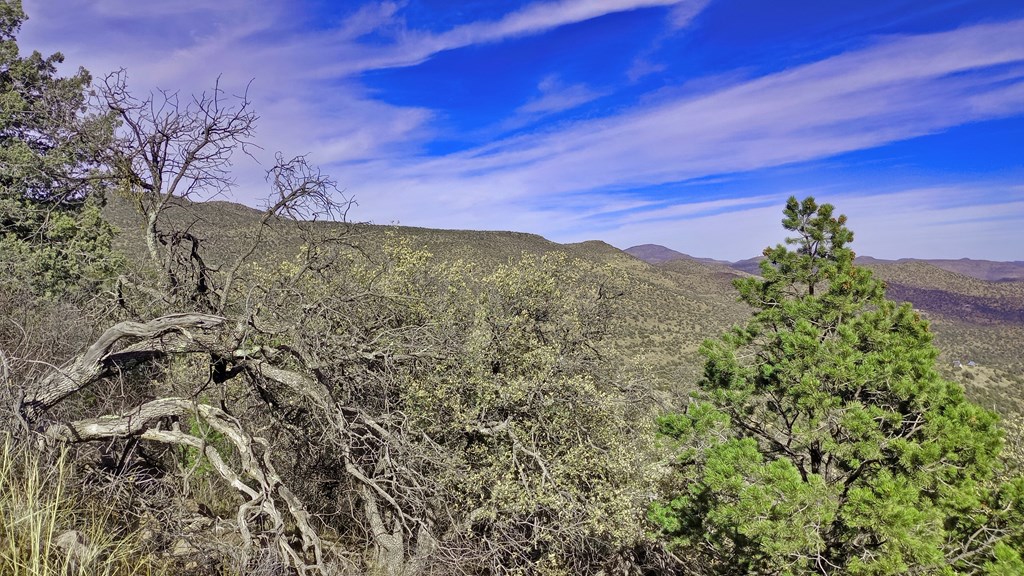 304 Low Meadow Trail, Fort Davis, Texas image 14