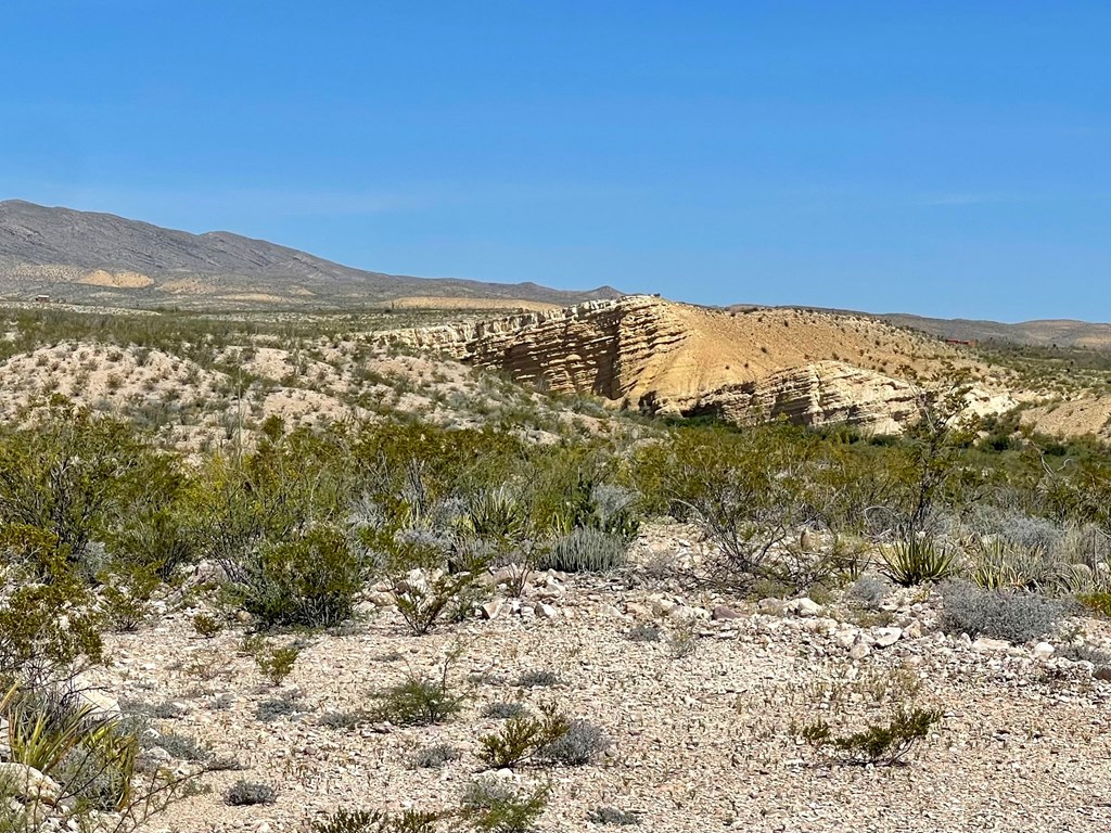 TR 2535 Private Rd, Terlingua, Texas image 22