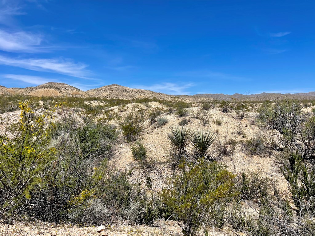 TR 2535 Private Rd, Terlingua, Texas image 21