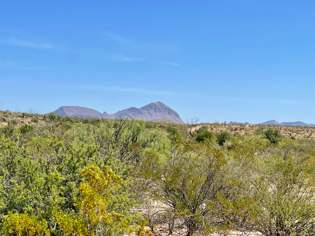 TR 2535 Private Rd, Terlingua, Texas image 19