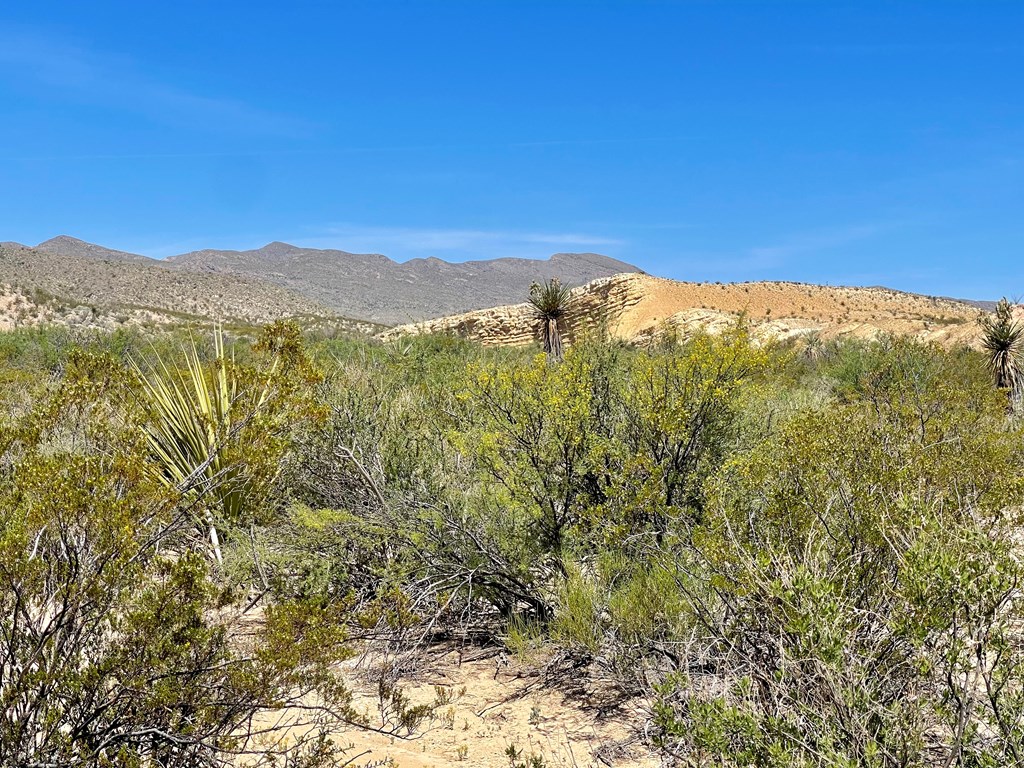 TR 2535 Private Rd, Terlingua, Texas image 18