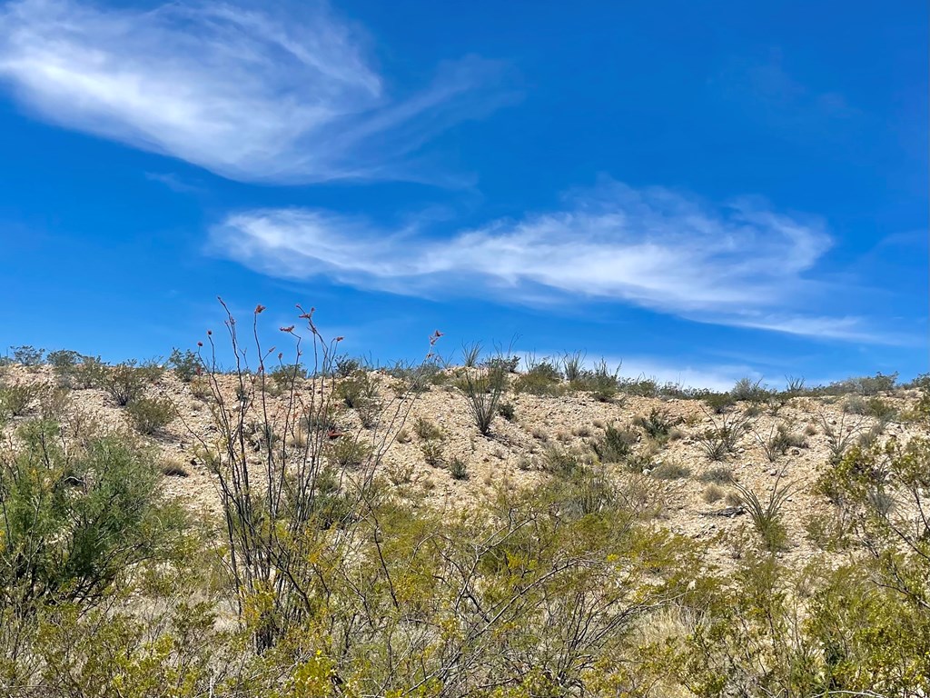 TR 2535 Private Rd, Terlingua, Texas image 15