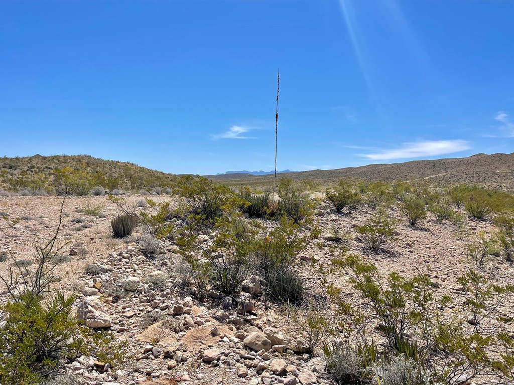 TR 2535 Private Rd, Terlingua, Texas image 25