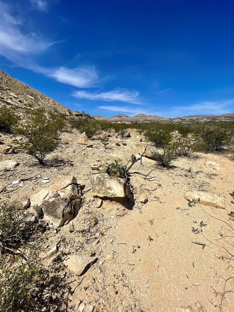 TR 2535 Private Rd, Terlingua, Texas image 16